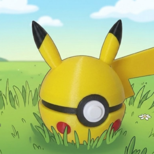 3D PokePika